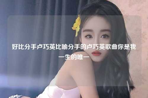 好比分手卢巧英比喻分手的卢巧英歌曲你是我一生的唯一