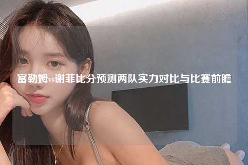 富勒姆vs谢菲比分预测两队实力对比与比赛前瞻