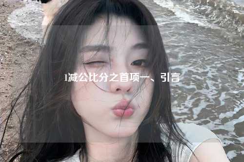 1减公比分之首项一、引言
